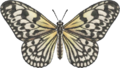 Paper Kite Butterfly NH.png