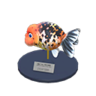 ranchu goldfish model
