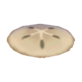 Sand Dollar CF Model.png