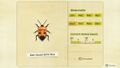 NH Critterpedia Man-Faced Stink Bug Southern Hemisphere.jpg