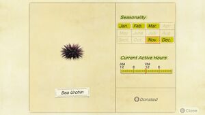 NH Critterpedia Sea Urchin Southern Hemisphere.jpg