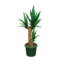 Yucca (Green) NH Icon.png
