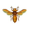 Bee CF Model.png