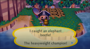 Caught Elephant Beetle CF.png