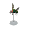 fly model
