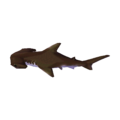 Hammerhead Shark NL Model.png