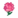 Pink Carnations NL Icon.png