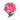 Pink Carnations NL Icon.png