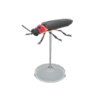 firefly model