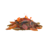 leaf campfire