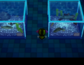 PG Fish Room.png