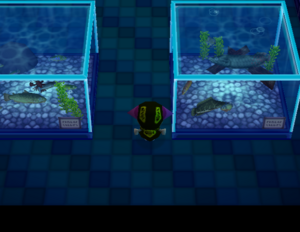 PG Fish Room.png