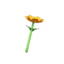 windflower wand
