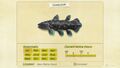 NH Critterpedia Coelacanth.jpg