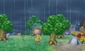 NL Rain.jpg