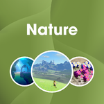 Nintendo Music Playlist Cover Nature.png
