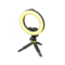Ring Light (Yellow) NH Icon.png