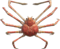 Spider Crab NH.png