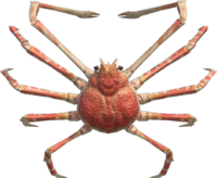 Artwork of spider crab