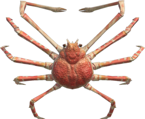 Spider Crab NH.png