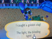 Caught Golden Stag CF.png