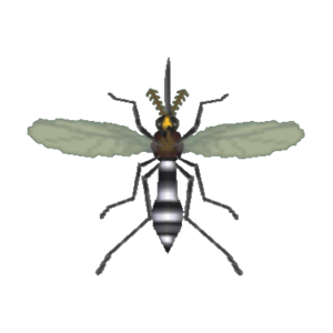 Mosquito CF Model.png