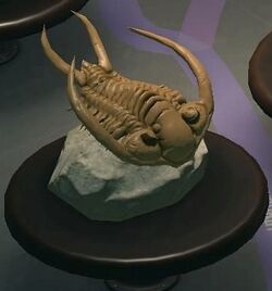 NH Trilobite Museum.jpg