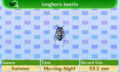 NL Encyclopedia Longhorn Beetle.png