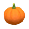 orange pumpkin