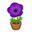 Purple-Windflower Plant NH Inv Icon.png