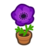 Purple-Windflower Plant NH Inv Icon.png