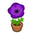 Purple-Windflower Plant NH Inv Icon.png