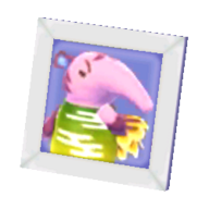 Snooty's pic