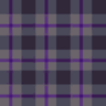 Checkered 2 - Fabric 14 NH Pattern.png