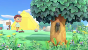 NH Intro (2).png