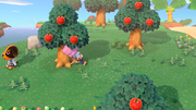 NH Press Sep 2019 Digging up Tree.png