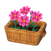 Pink Cosmos NL Model.png