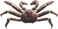 Artwork of red king crab