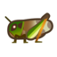 Migratory Locust NH Icon.png