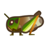 Migratory Locust NH Icon.png