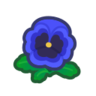 blue pansies