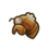 cicada shell