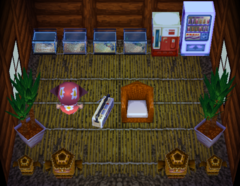 Scoot's house interior in Animal Crossing