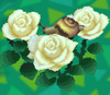 CF Snail Roses.png