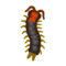 Centipede NH Icon.png