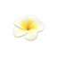 Plumeria Hairpin (White) NH Icon.png