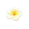 Plumeria Hairpin (White) NH Icon.png