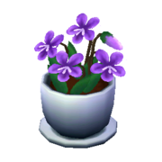 Purple Violets NL Model.png