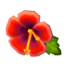 hibiscus clock
