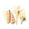 shell partition